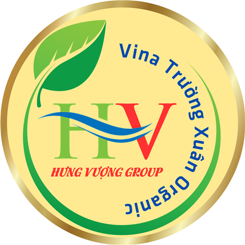 Công ty Hưng Vượng Group 2023